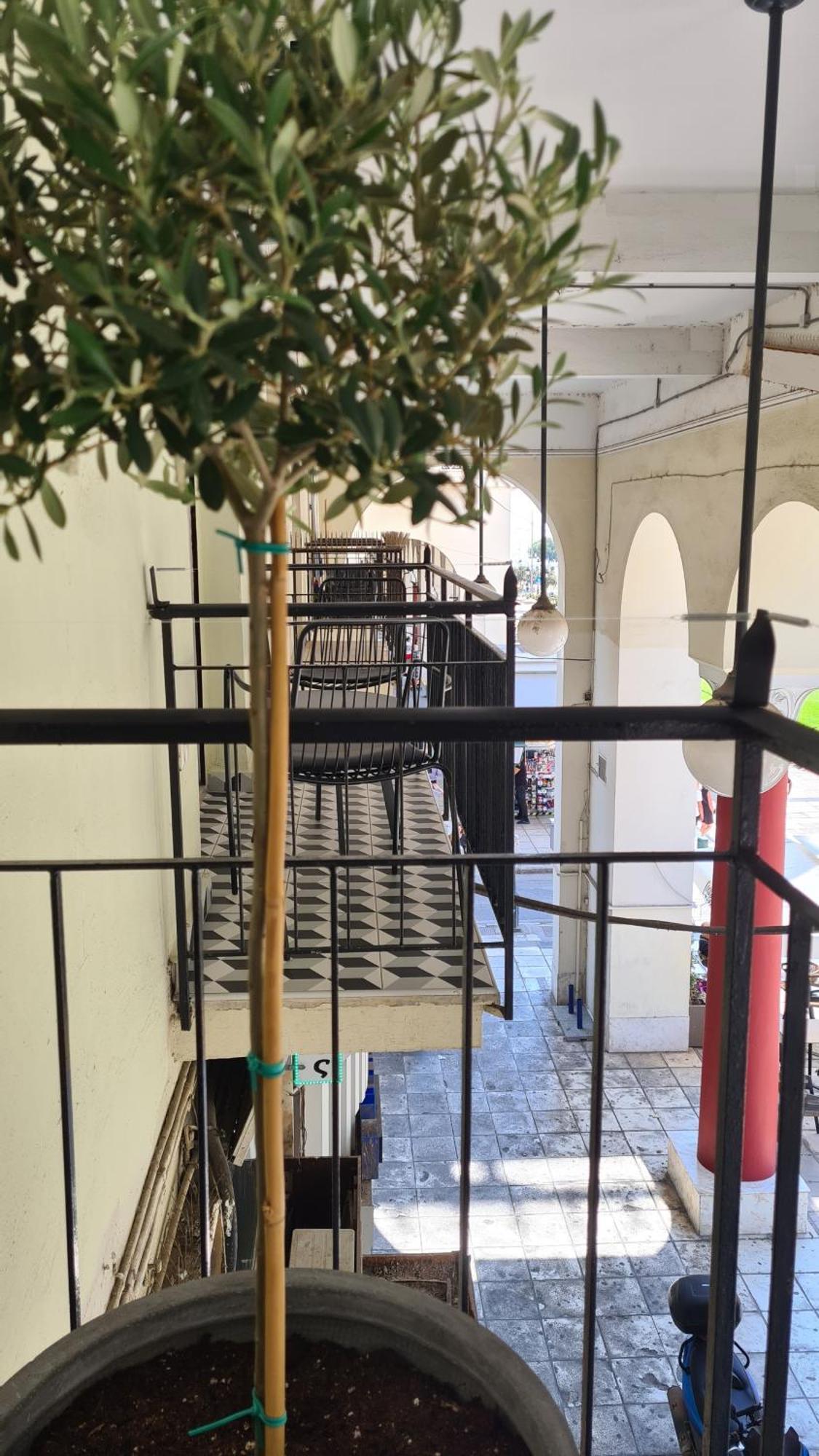 μerάκι Aristotelous Sq Apartment Thessaloniki